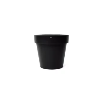 Classic 25 Studio - Graphite