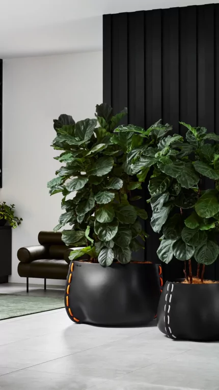 Stitch Series - Private Residence