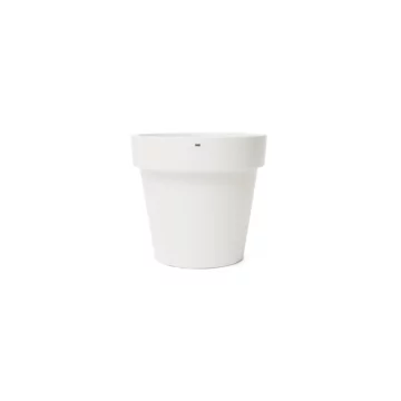 Classic 25 Studio - Bone