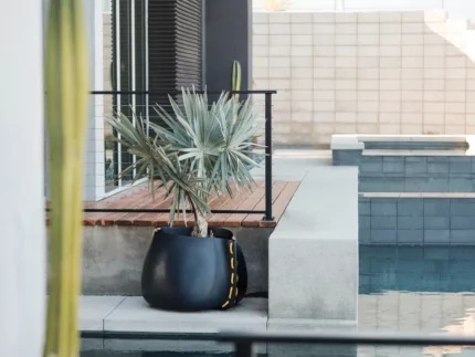 Stitch 75 Planter - Starfire