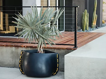 Blinde Design Stitch 75 Planter frames the Starfire garden with sleek graphite concrete for durable modern outdoor appeal.